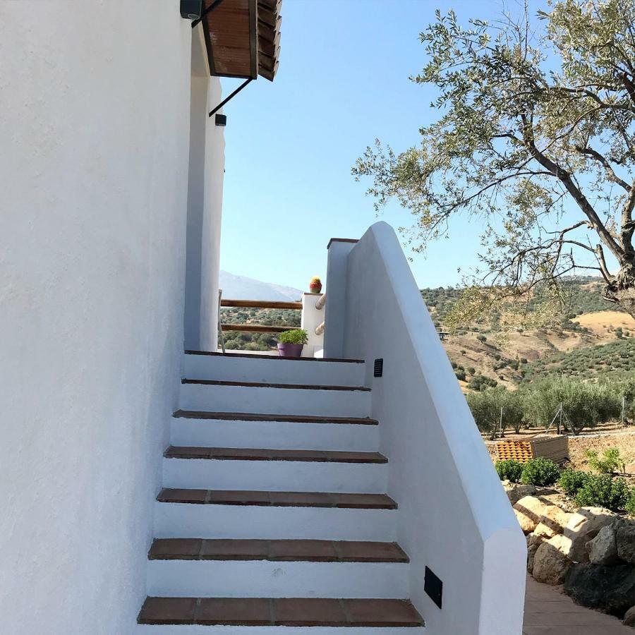 Finca Zayas Casa Rural & Guest Suites Periana Екстер'єр фото